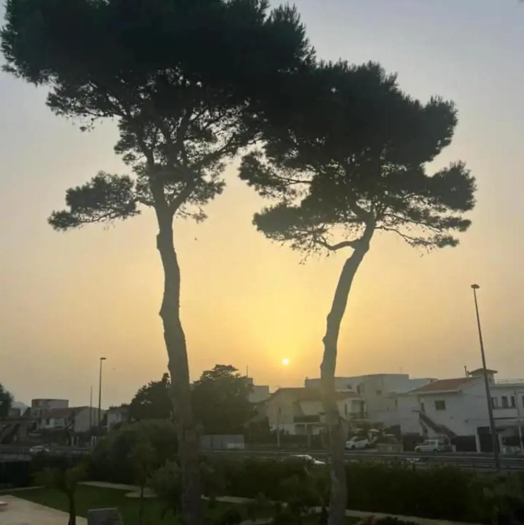 Apartament Villa Albamonte Carini