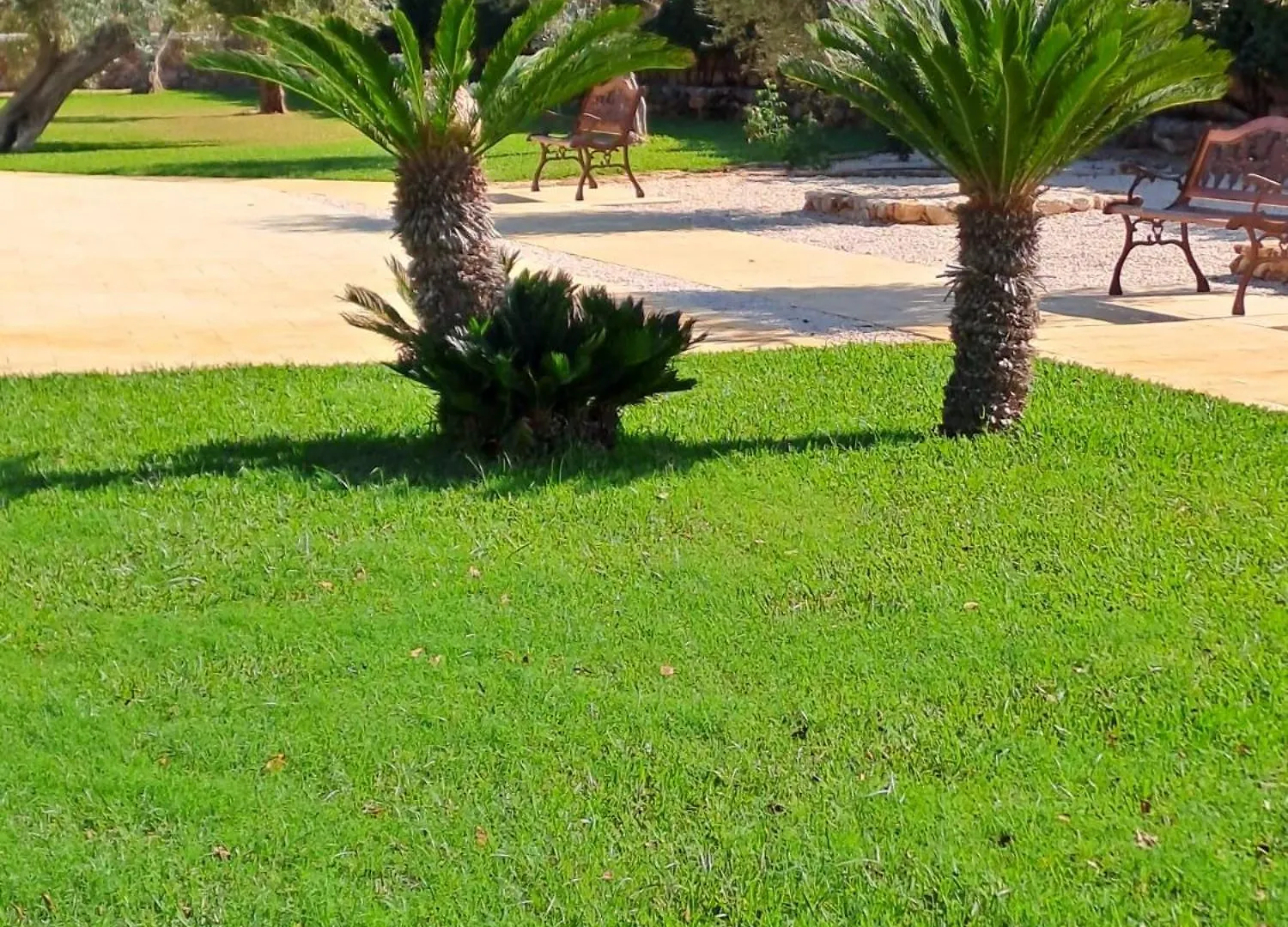 קאריני Villa Albamonte 0*,